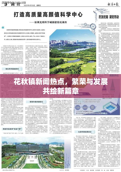 花秋镇新闻热点，繁荣与发展共绘新篇章