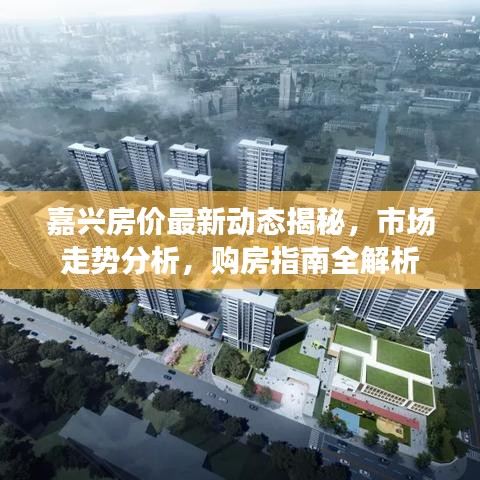 嘉兴房价最新动态揭秘，市场走势分析，购房指南全解析