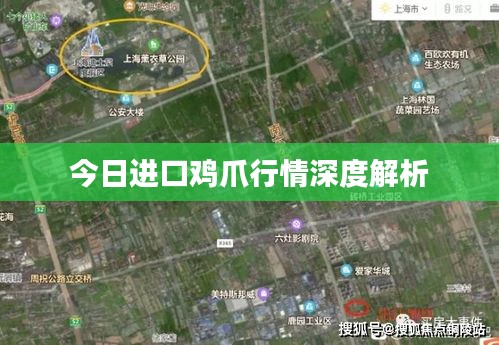 今日进口鸡爪行情深度解析