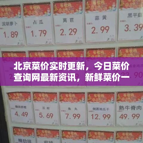北京菜价实时更新，今日菜价查询网最新资讯，新鲜菜价一手掌握