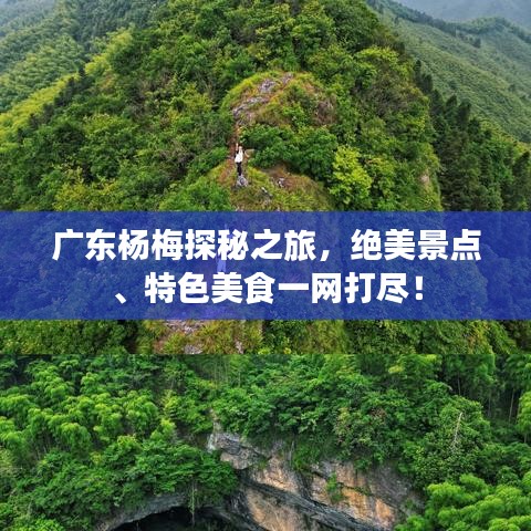 广东杨梅探秘之旅，绝美景点、特色美食一网打尽！