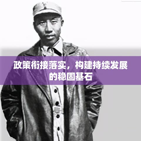 政策衔接落实，构建持续发展的稳固基石