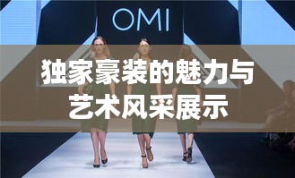 独家豪装的魅力与艺术风采展示