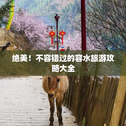 绝美！不容错过的容水旅游攻略大全