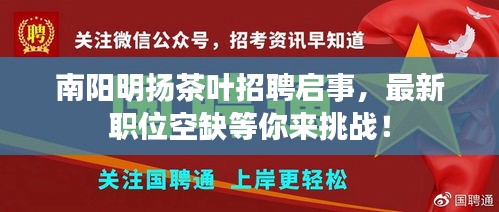 南阳明扬茶叶招聘启事，最新职位空缺等你来挑战！