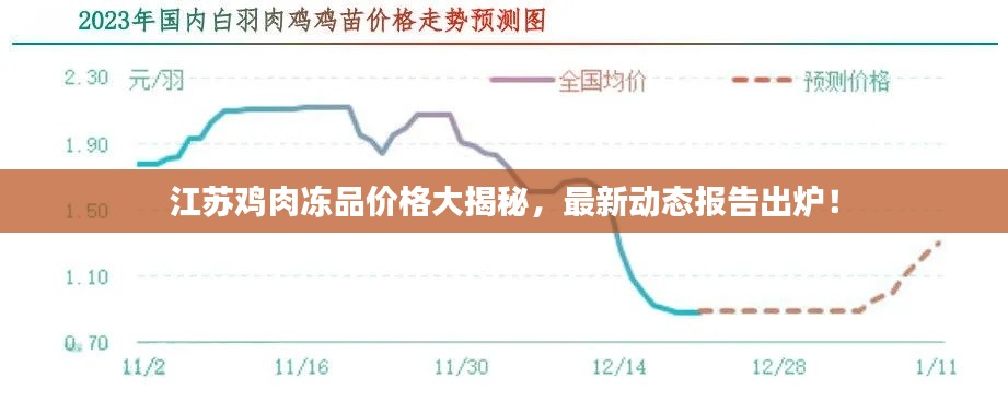 江苏鸡肉冻品价格大揭秘，最新动态报告出炉！