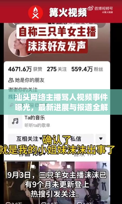 汕头网络主播骂人视频事件曝光，最新进展与报道全解析