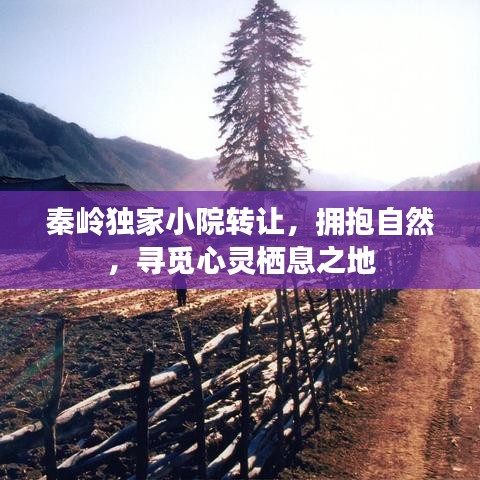 一毫不苟