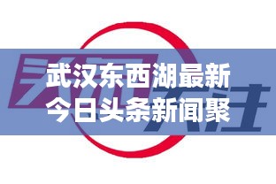 武汉东西湖最新今日头条新闻聚焦