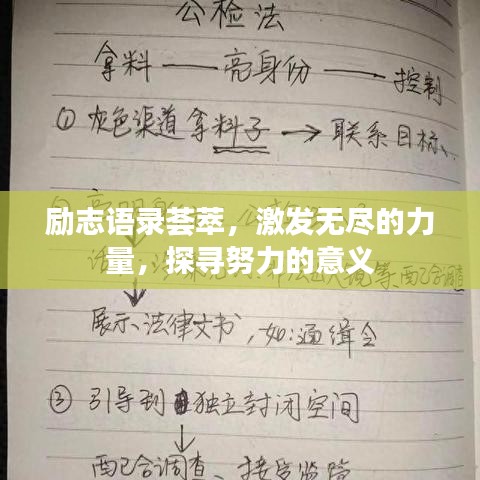 励志语录荟萃，激发无尽的力量，探寻努力的意义