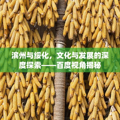 滨州与绥化，文化与发展的深度探索——百度视角揭秘