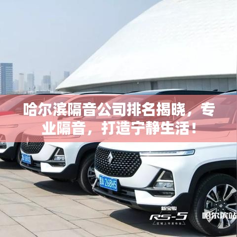哈尔滨隔音公司排名揭晓，专业隔音，打造宁静生活！