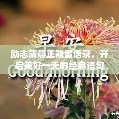 励志清晨正能量语录，开启美好一天的经典语句