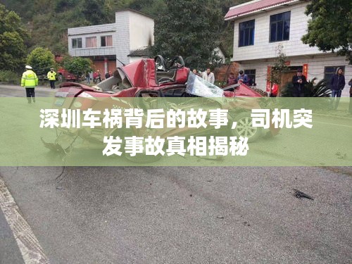 深圳车祸背后的故事，司机突发事故真相揭秘