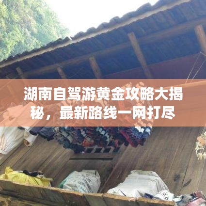 湖南自驾游黄金攻略大揭秘，最新路线一网打尽