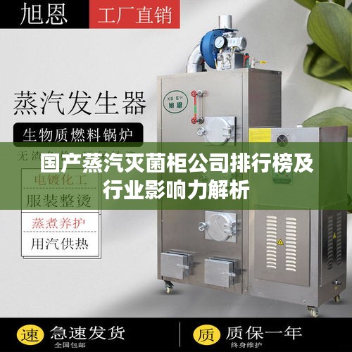 国产蒸汽灭菌柜公司排行榜及行业影响力解析