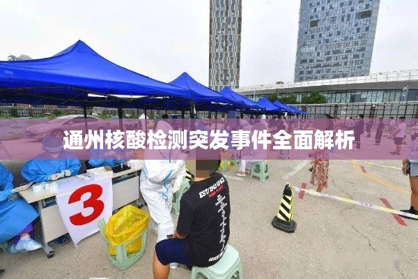 通州核酸检测突发事件全面解析