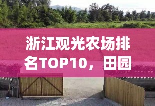 浙江观光农场排名TOP10，田园乐趣首选之地