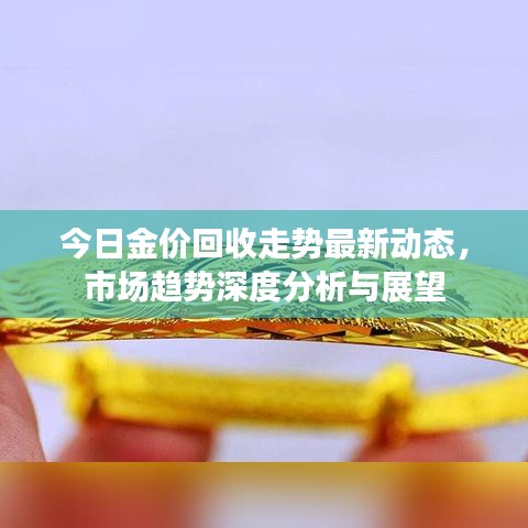 今日金价回收走势最新动态，市场趋势深度分析与展望