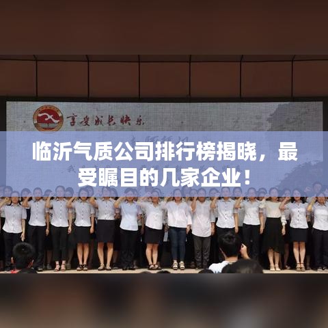临沂气质公司排行榜揭晓，最受瞩目的几家企业！