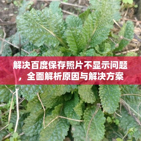解决百度保存照片不显示问题，全面解析原因与解决方案