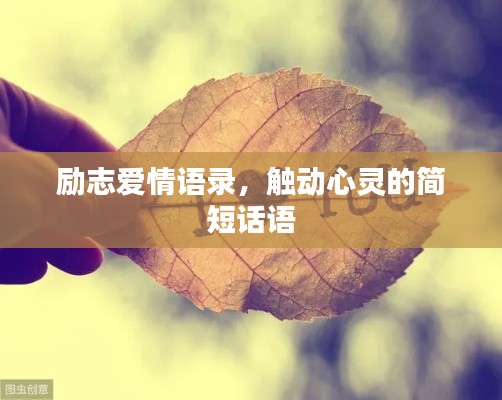 励志爱情语录，触动心灵的简短话语