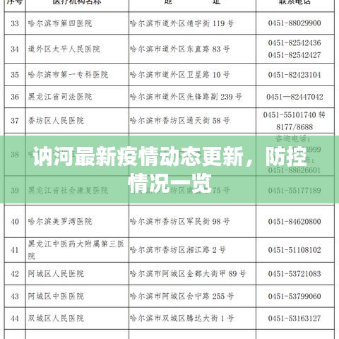 讷河最新疫情动态更新，防控情况一览
