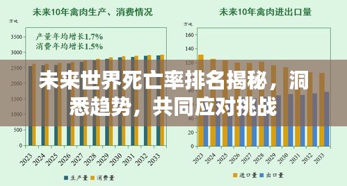 未来世界死亡率排名揭秘，洞悉趋势，共同应对挑战