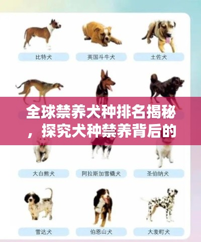 眼空四海