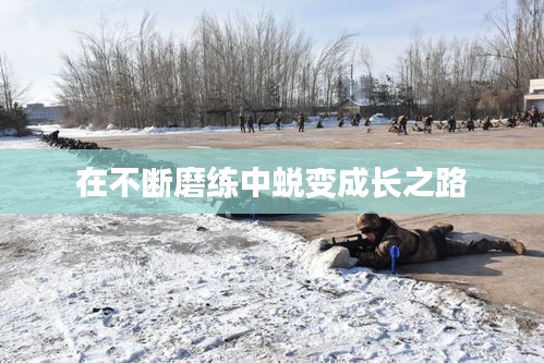 在不断磨练中蜕变成长之路