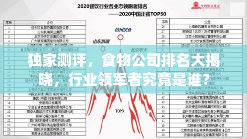 独家测评，食物公司排名大揭晓，行业领军者究竟是谁？