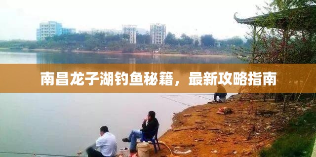 南昌龙子湖钓鱼秘籍，最新攻略指南