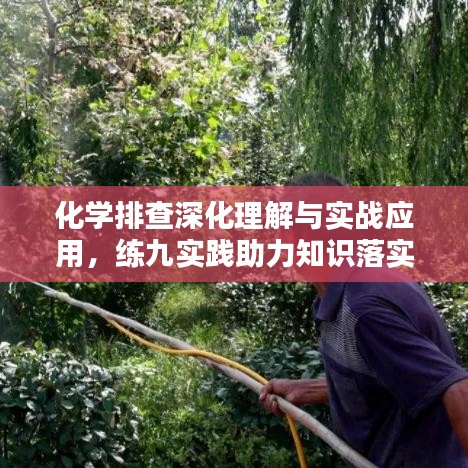 化学排查深化理解与实战应用，练九实践助力知识落实