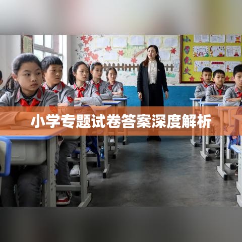 小学专题试卷答案深度解析