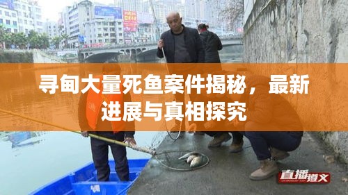 寻甸大量死鱼案件揭秘，最新进展与真相探究
