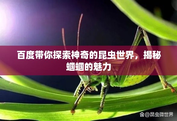 百度带你探索神奇的昆虫世界，揭秘蝈蝈的魅力
