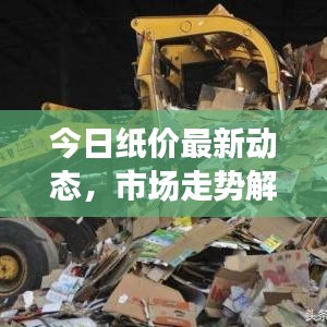 今日纸价最新动态，市场走势解析与行情分析