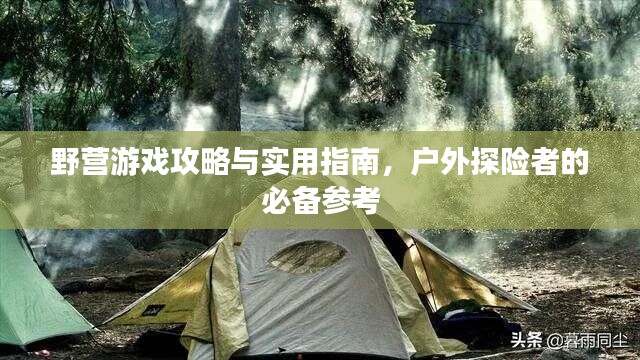 野营游戏攻略与实用指南，户外探险者的必备参考