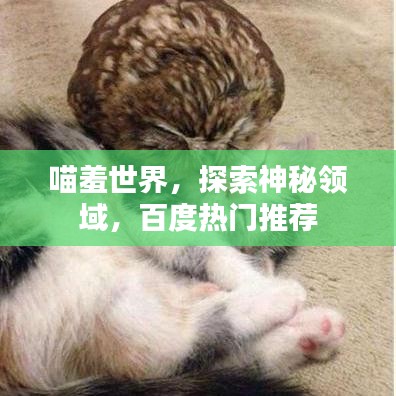 喵羞世界，探索神秘领域，百度热门推荐