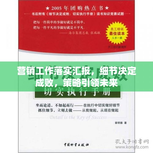 营销工作落实汇报，细节决定成败，策略引领未来