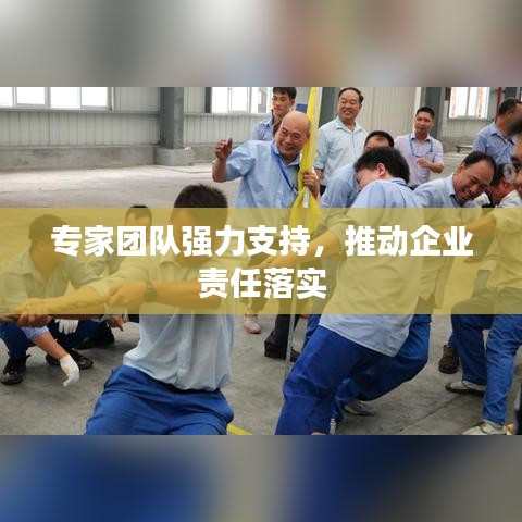 专家团队强力支持，推动企业责任落实