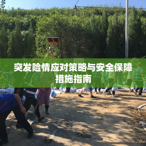 突发险情应对策略与安全保障措施指南
