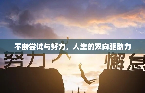 不断尝试与努力，人生的双向驱动力