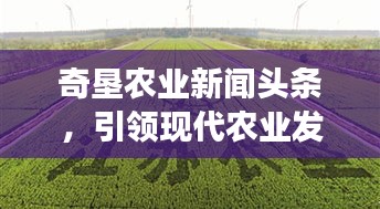 奇垦农业新闻头条，引领现代农业发展的最新动态与趋势分析