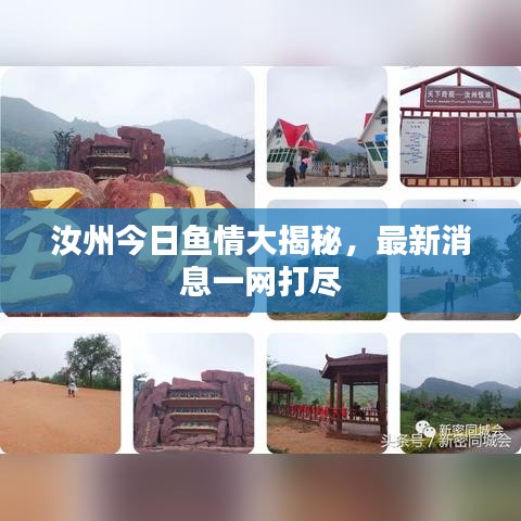 汝州今日鱼情大揭秘，最新消息一网打尽