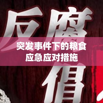 突发事件下的粮食应急应对措施