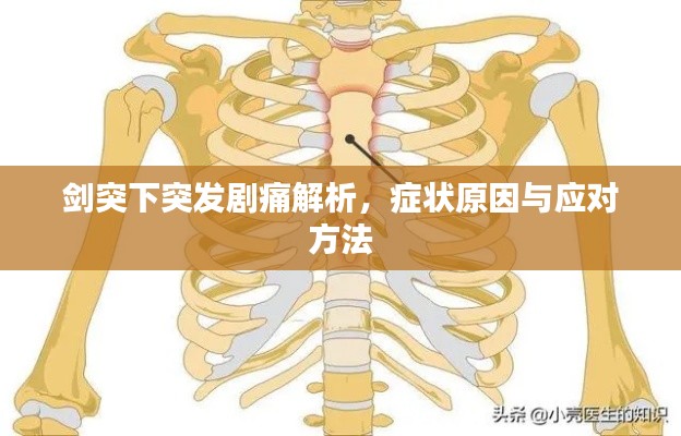 剑突下突发剧痛解析，症状原因与应对方法