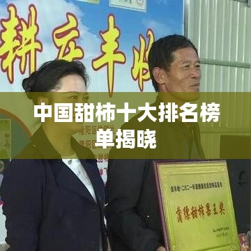 中国甜柿十大排名榜单揭晓