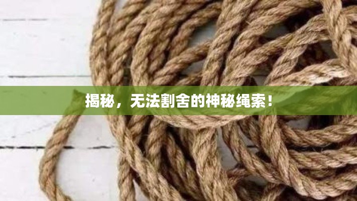 揭秘，无法割舍的神秘绳索！