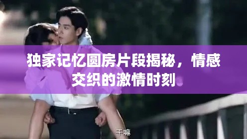 独家记忆圆房片段揭秘，情感交织的激情时刻